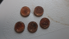 5_putah_rev.png - 