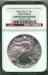 2006_american_eagle_obverse.jpg - 