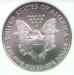 2006_american_eagle_reverse2.jpg - 