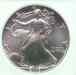 2006_american_eagle_obverse2.jpg - 