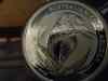 kook_2.jpg - 2012:05:12 18:35:35