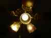 dsc02019.jpg - 2007:05:24 16:24:37
