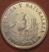 purple_heron_spain_94b.png - 