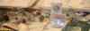 group_6.jpg - 2009:01:11 14:59:59