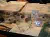dsc05939.jpg - 2009:01:11 14:58:50