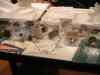 dsc05941.jpg - 2009:01:11 14:59:15