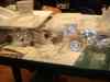 dsc05943.jpg - 2009:01:11 14:59:44