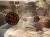 group_1.jpg - 2009:01:11 15:01:16