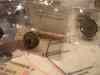 group_2.jpg - 2009:01:11 15:01:08