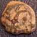 jewish_coin-3.jpg - 2009:01:12 14:12:56