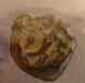 jewish_coin-2.jpg - 2009:01:12 14:12:19