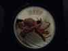 DSC08427.JPG - 2012:05:01 03:03:26