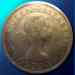 kiwi_forin_r.jpg - 2012:08:10 16:52:26
