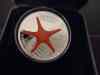 DSC08420.JPG - 2012:05:01 02:55:30