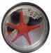 star_fish_1.jpg - 2012:04:30 08:21:02