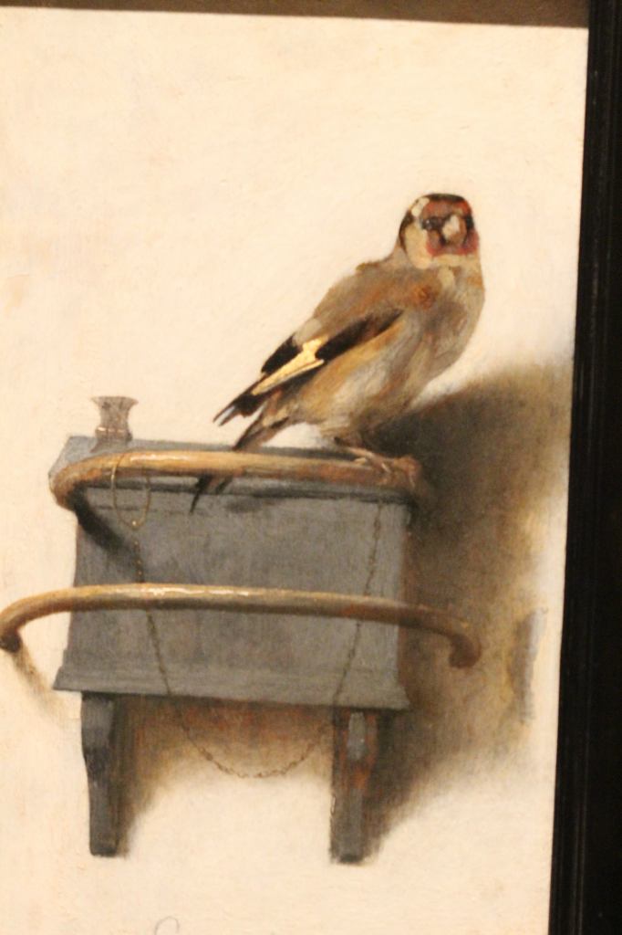 Fabritius - The Goldfinch