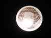 dsc05783.jpg - 2008:12:02 11:18:21
