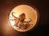 dsc05871.jpg - 2008:12:30 04:08:09