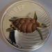 010-turtle_1_o_800.png.small.jpeg - 