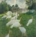 Claude Monet - Turkeys (1876).jpg - 