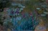 Claude Monet - Irises and Water-Lilies (1914-1917).jpg - 