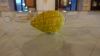 DSC03477.JPG - 2024:10:20 08:11:48