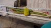 DSC03478.JPG - 2024:10:20 08:54:20