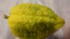 DSC03479.JPG - 2024:10:20 08:54:55