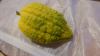 DSC03481.JPG - 2024:10:20 08:56:10