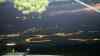 DSC04285.JPG - 2026:10:02 06:12:18